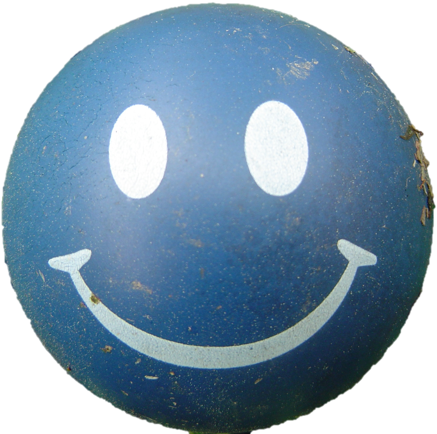 Picture Face Happy HD Image Free PNG Image