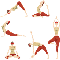 Vector Exercise PNG Image High Quality PNG Image