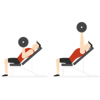 Download Photos Vector Exercise PNG File HD HQ PNG Image