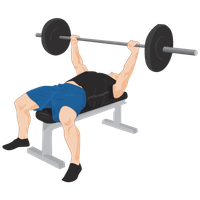 Exercise Bench Png Transparent PNG Image