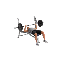 Exercise Bench Free Download Png Transparent PNG Image