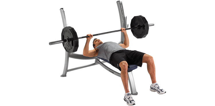 Exercise Bench Free Download Png Transparent PNG Image