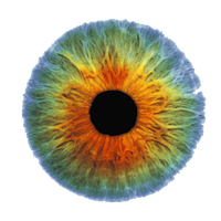 Real Eye Image PNG Image