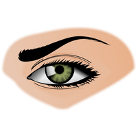 Woman Eyes Transparent Background PNG Image