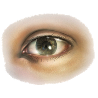 Human Eye PNG Image