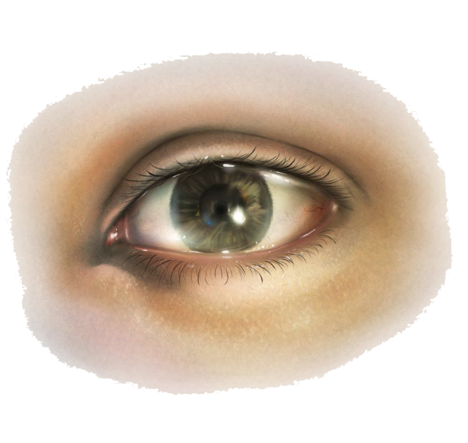 Human Eye PNG Image