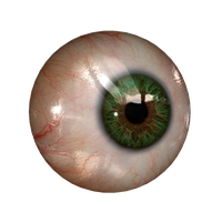 Real Eye File PNG Image