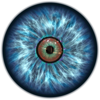 Real Eye Transparent Image PNG Image