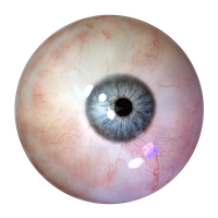 Human Eye Clipart PNG Image