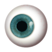 Download Eye Free PNG photo images and clipart | FreePNGImg
