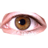 Download Eyes Png HQ PNG Image | FreePNGImg