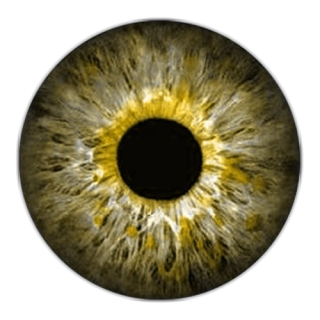 Eye Transparent PNG Image