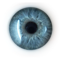 Eye PNG