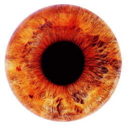 Eye Transparent PNG Image