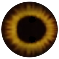 Eyes Download Free Image