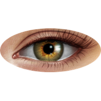 Eyes PNG File HD