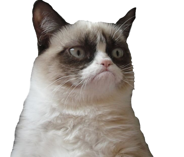 Picture Grumpy Face Cat Free Download PNG HD PNG Image