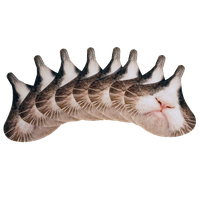 Grumpy Face Cat Free Photo PNG