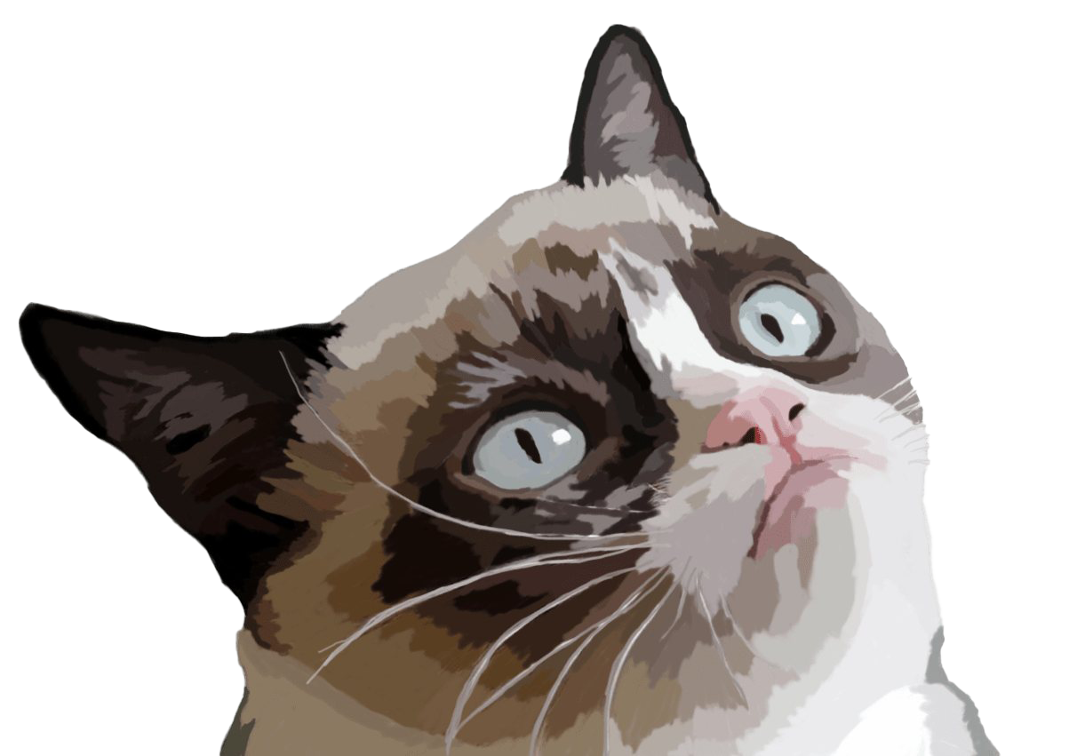 Grumpy Face Cat Free Download PNG HD PNG Image
