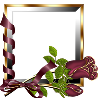 Picture Frame Online Frames Venusia Editing PNG