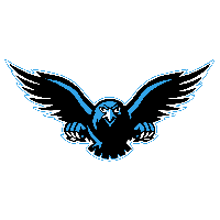 Falcon Transparent Transparent HQ PNG Download | FreePNGImg