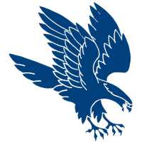Falcon File PNG Image