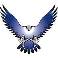 Falcon Png Image PNG Image