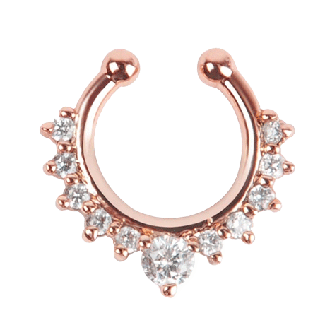 Septum Piercing HQ Image Free PNG Image