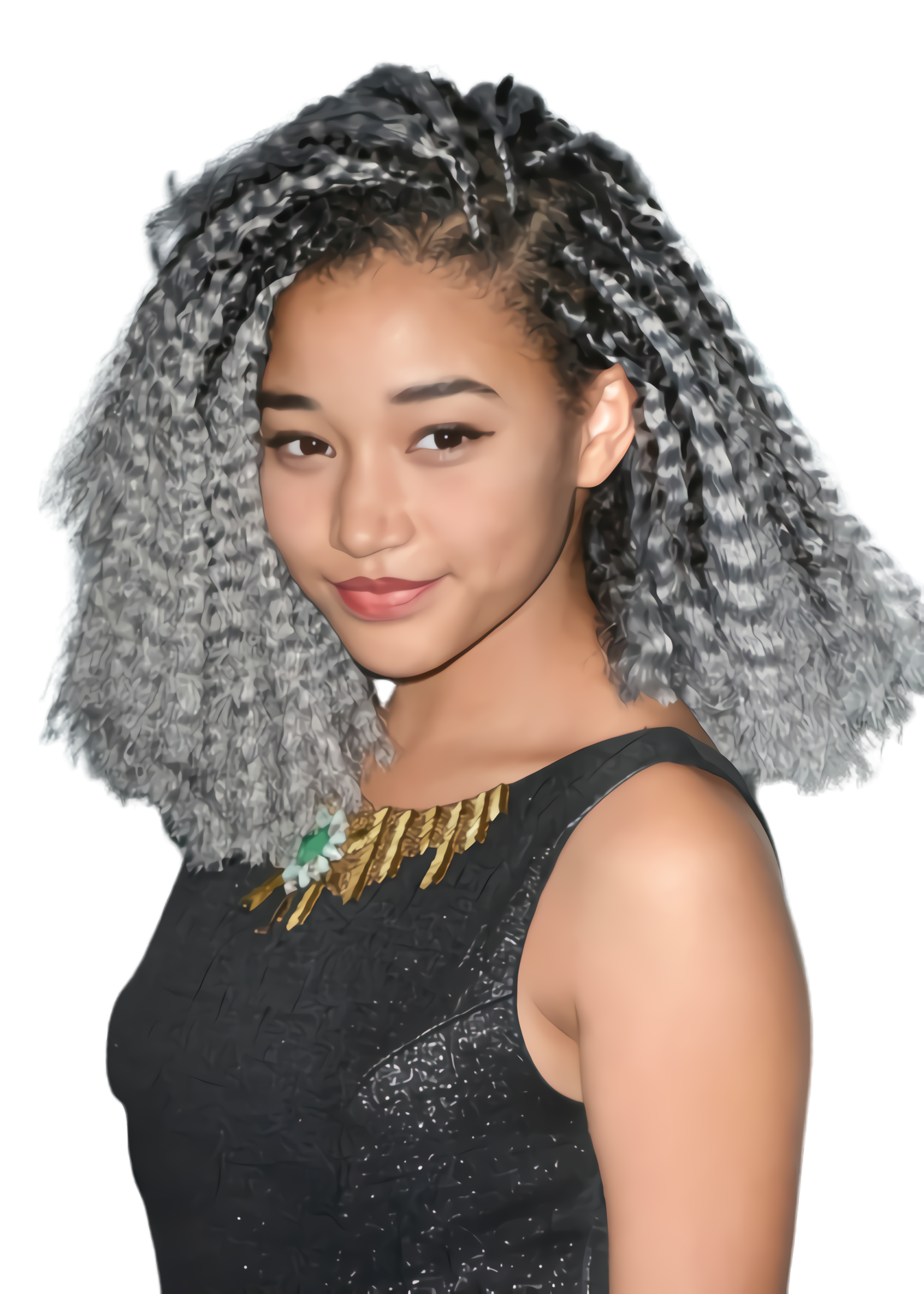 Hairstyle Braids Free HQ Image PNG Image