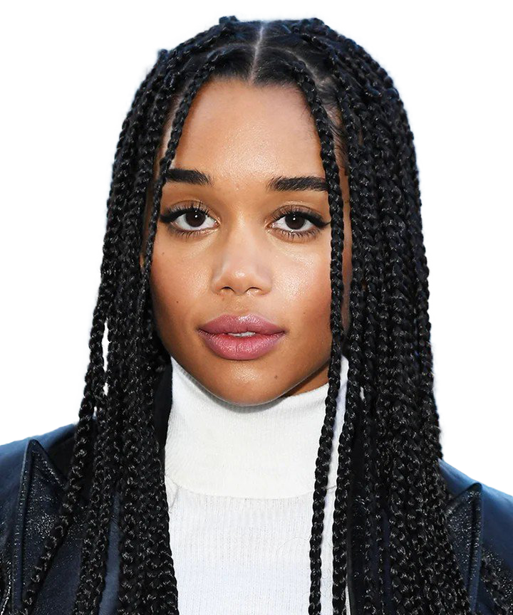 Picture Hairstyle Braids PNG Download Free PNG Image