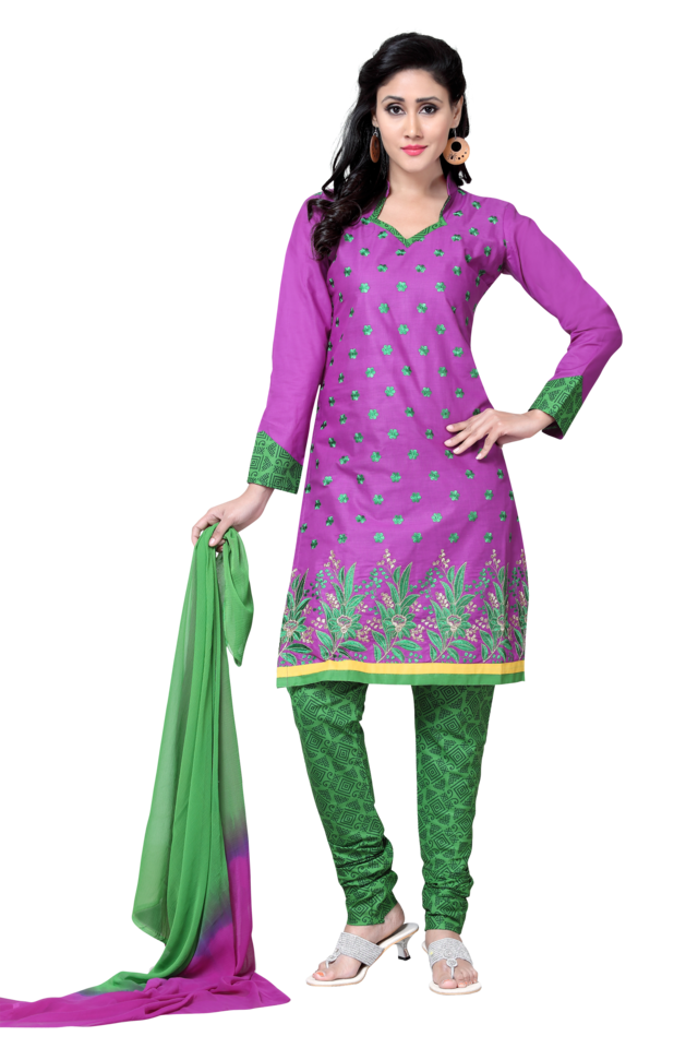 Vaisakhi Patiala Magenta Green Costume, Baisakhi, color, magenta, shalwar  Kameez png | PNGWing