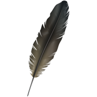 Feather PNG