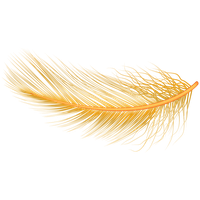 Feather PNG