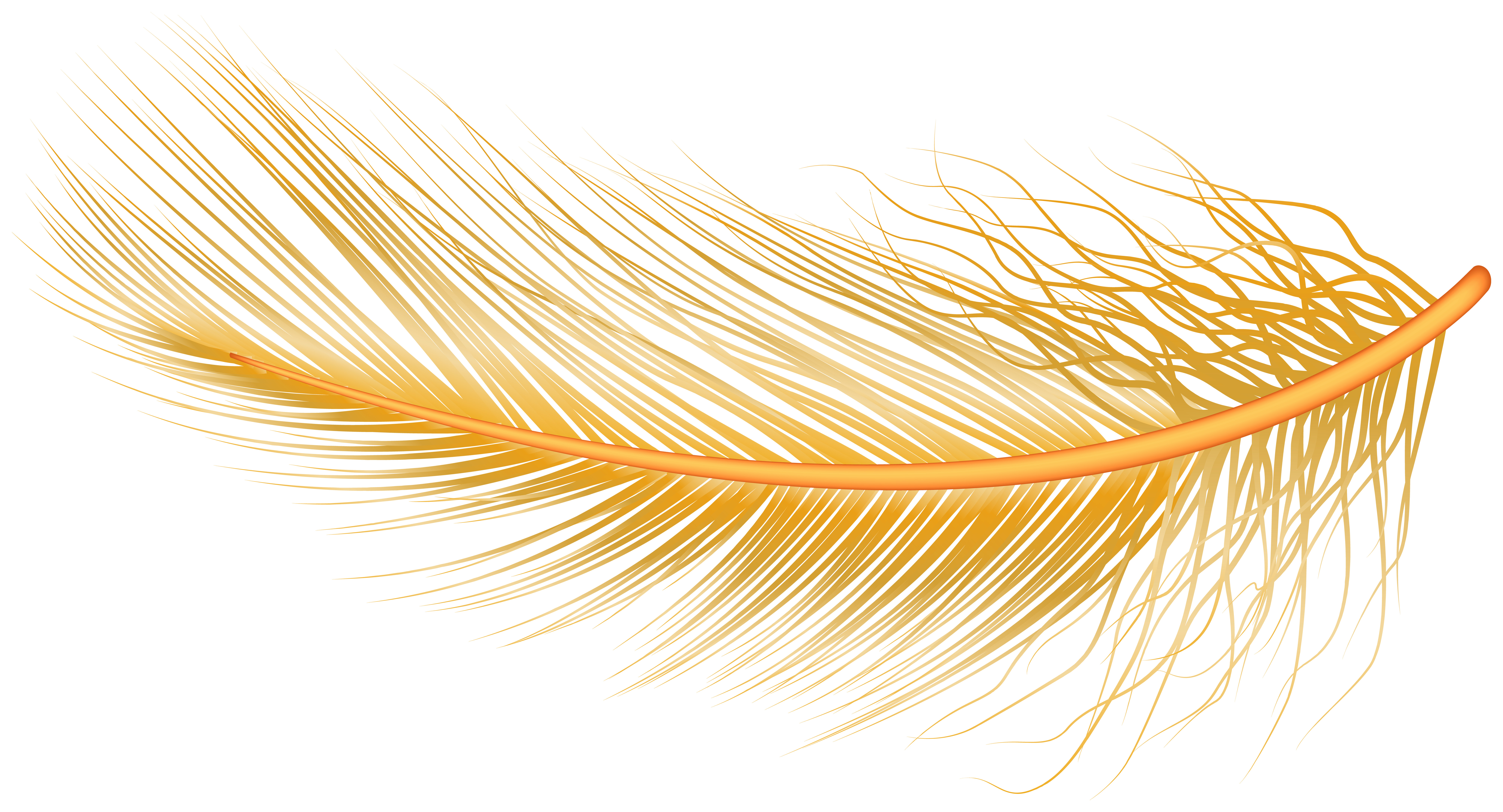 Feather Transparent PNG Image