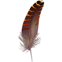 Feather PNG