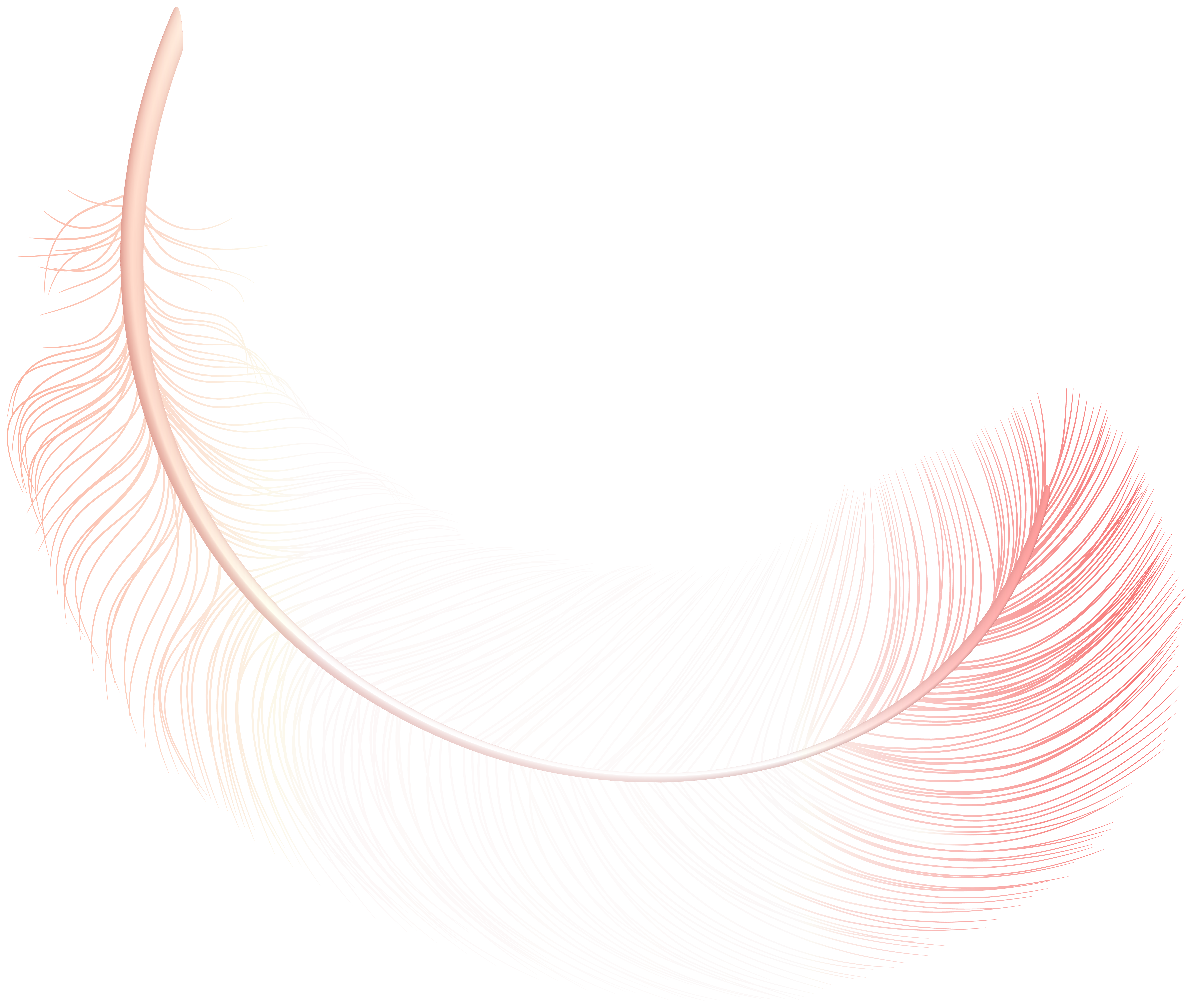 Feather Transparent PNG Image