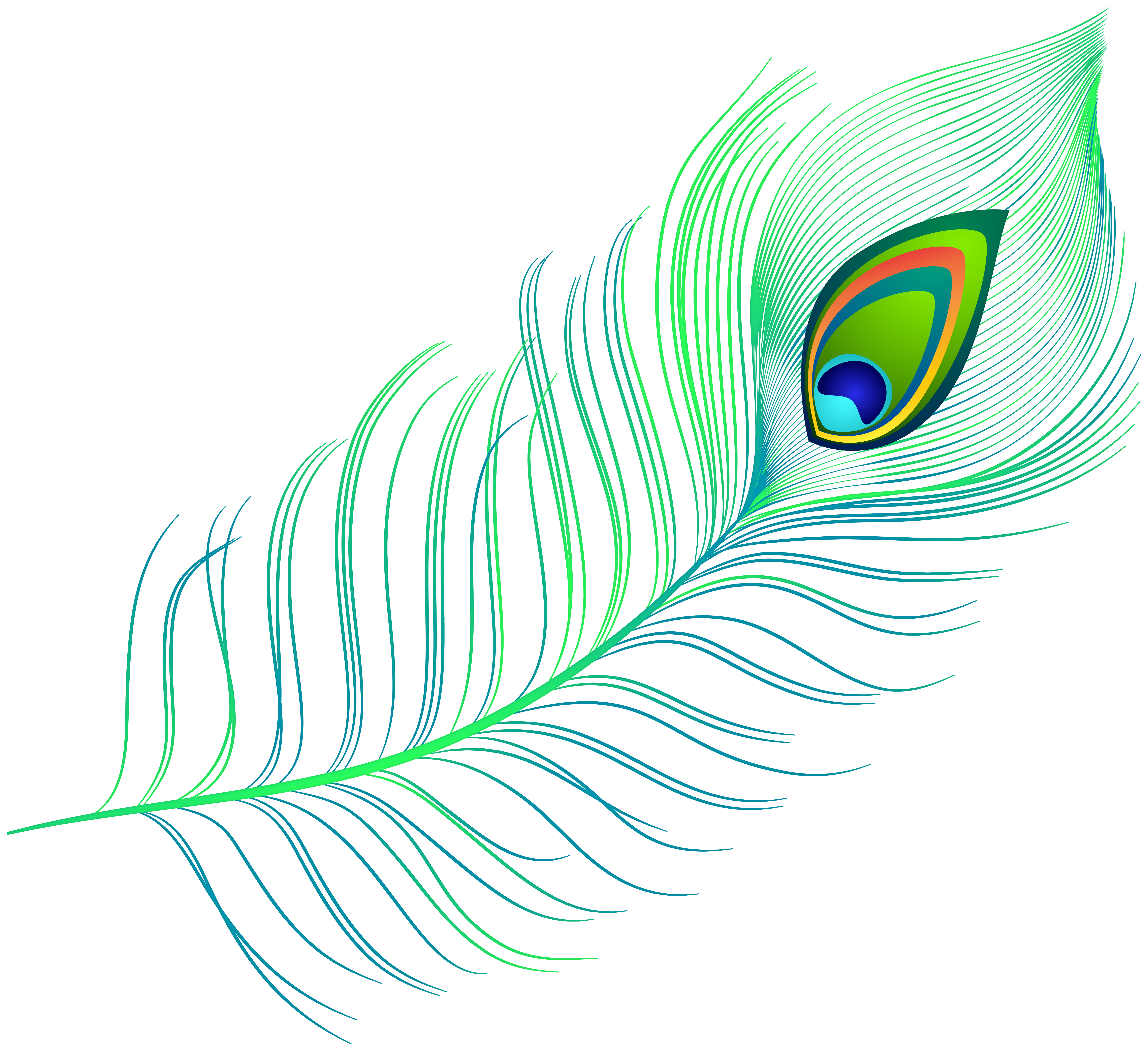 Green feather Transparent PNG Image