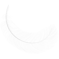 Feather PNG