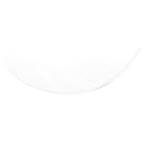 Feather PNG