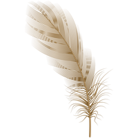 Feather PNG
