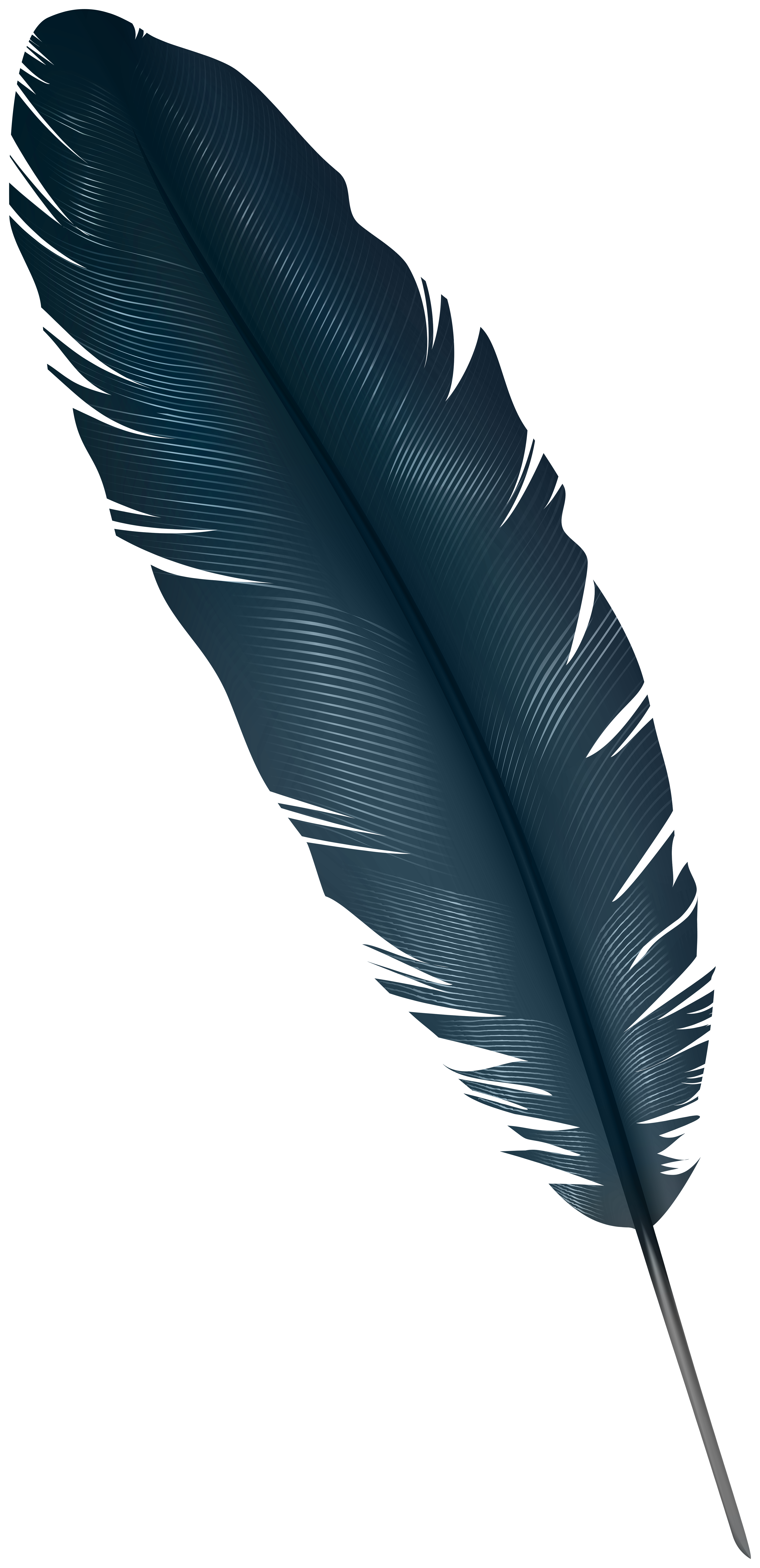 Dark feather Transparent PNG Image