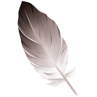 Feather PNG