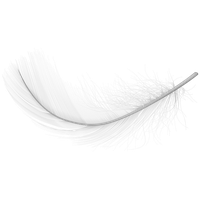 Feather PNG