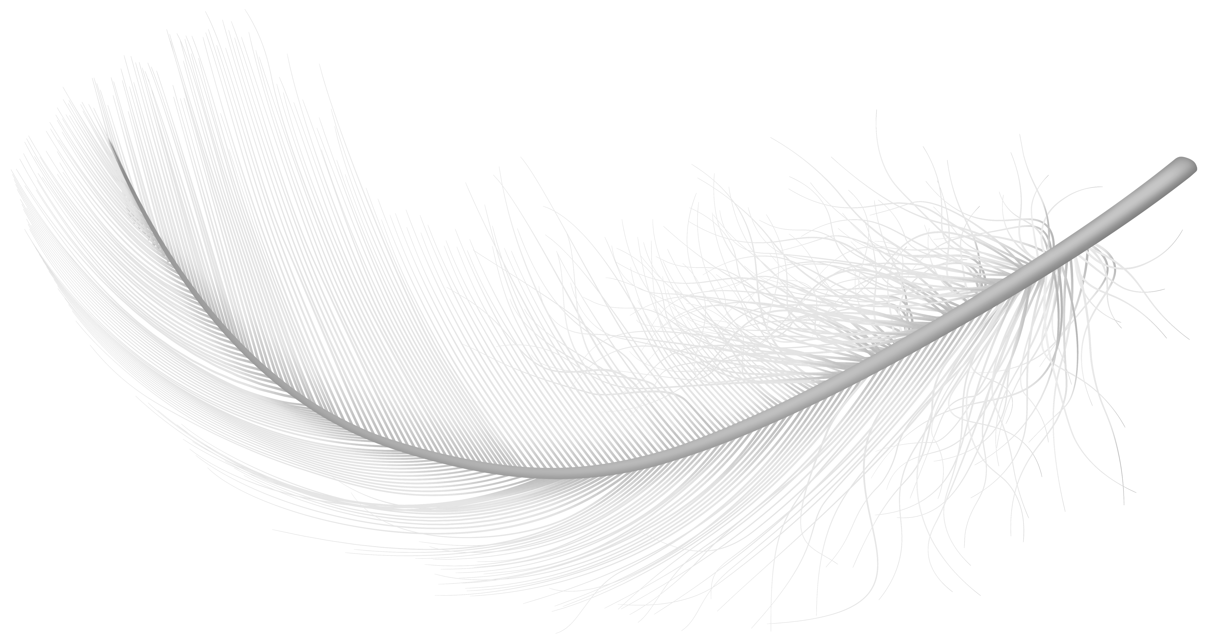 Feather Transparent PNG Image
