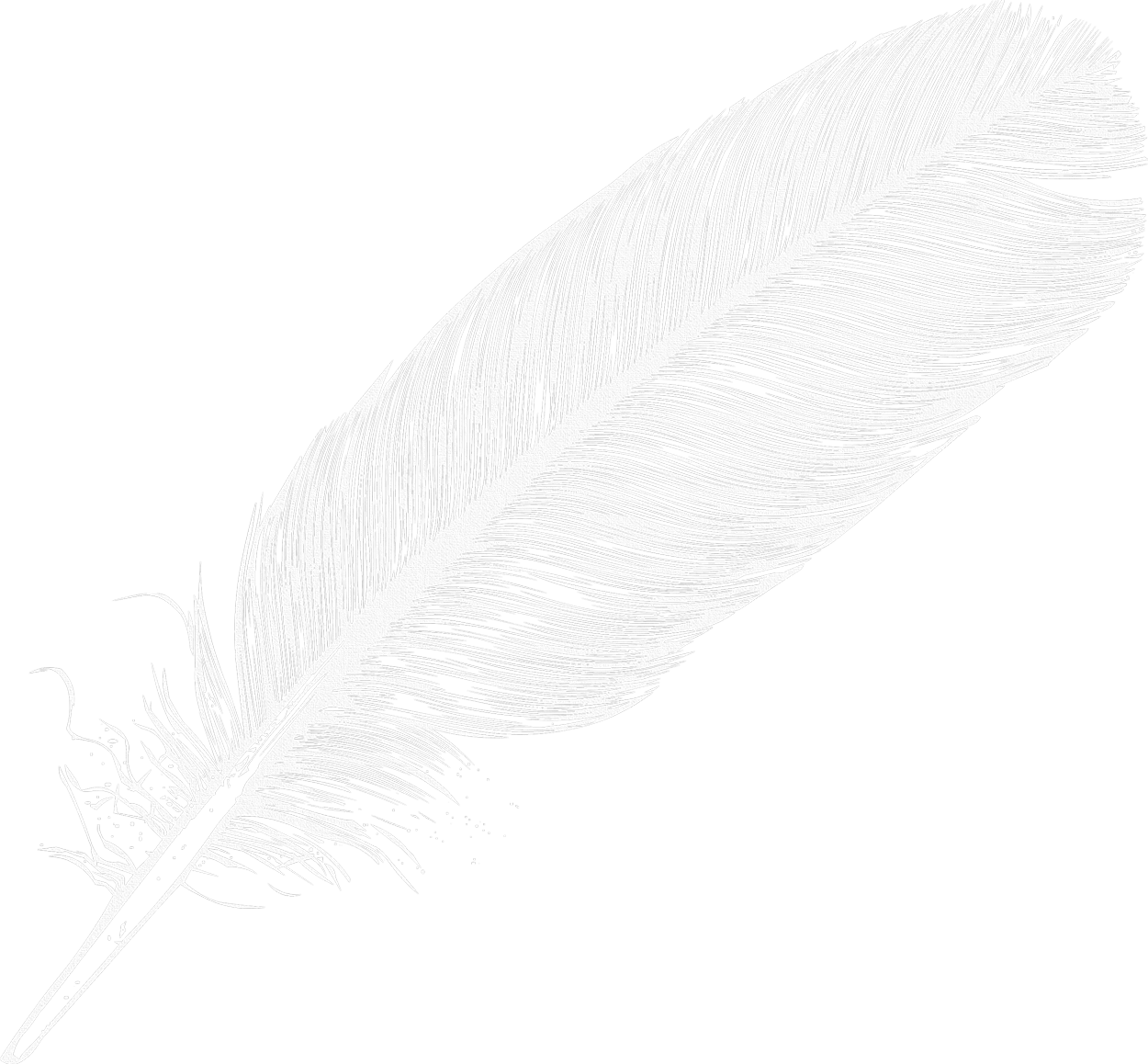 Feather Transparent PNG Image
