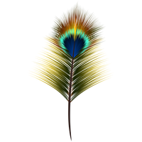 Feather color PNG