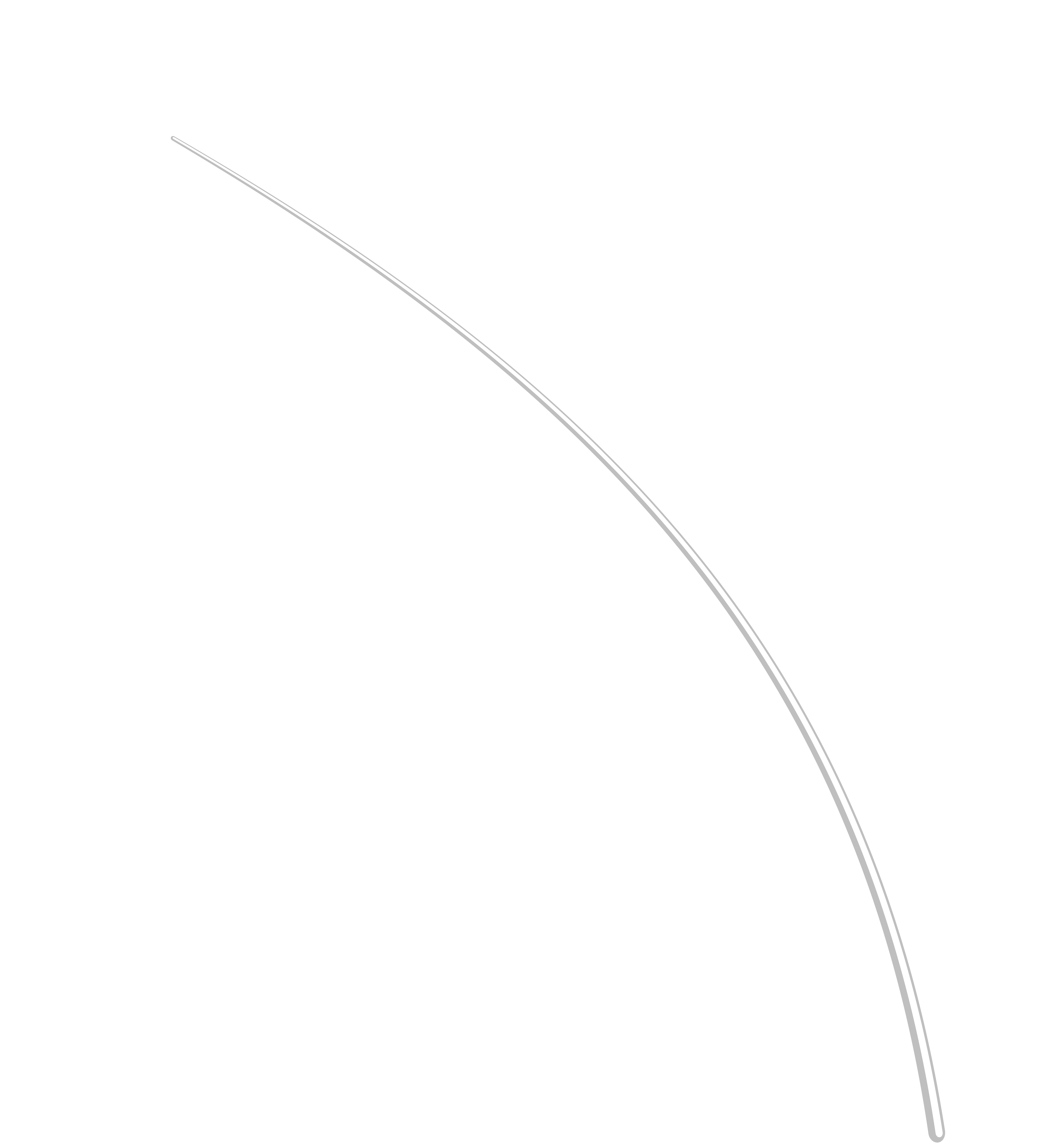 Feather Transparent PNG Image