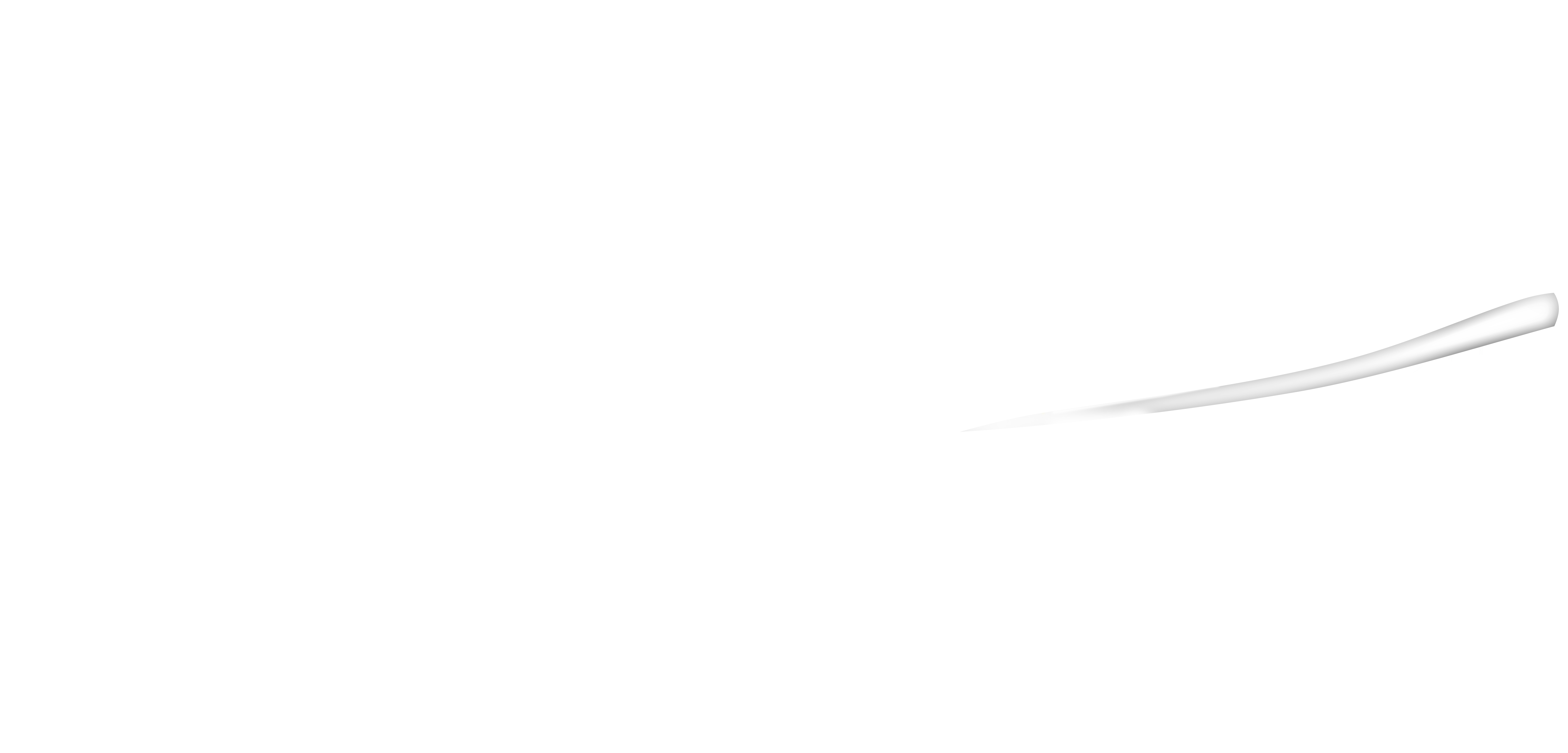 Feather Transparent PNG Image