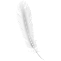 Feather white PNG