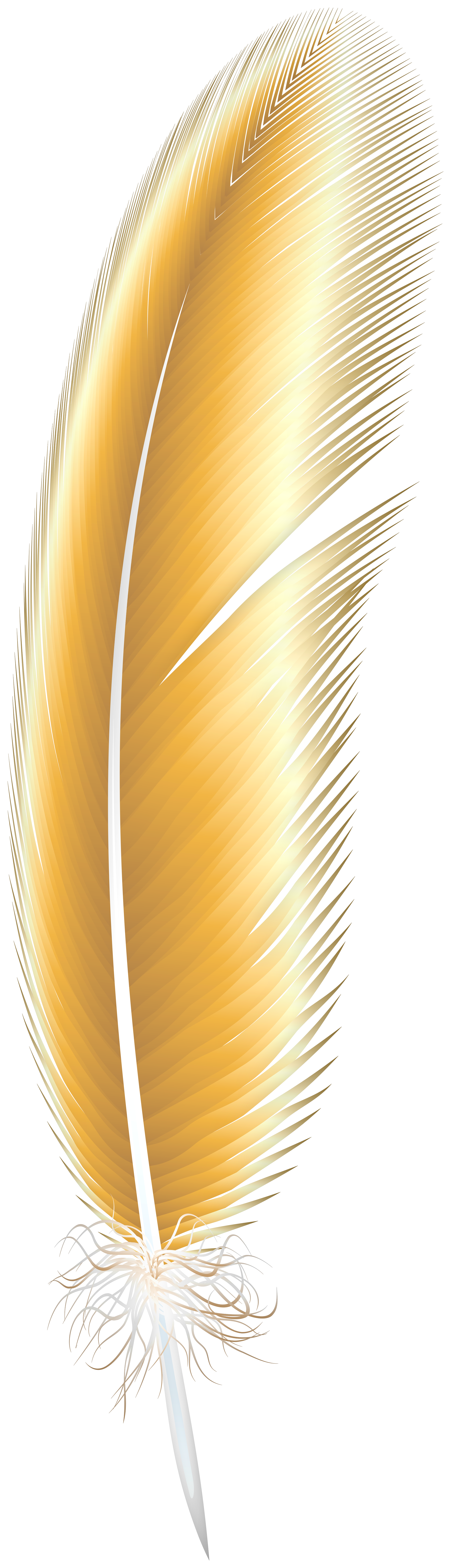 Feather Transparent PNG Image